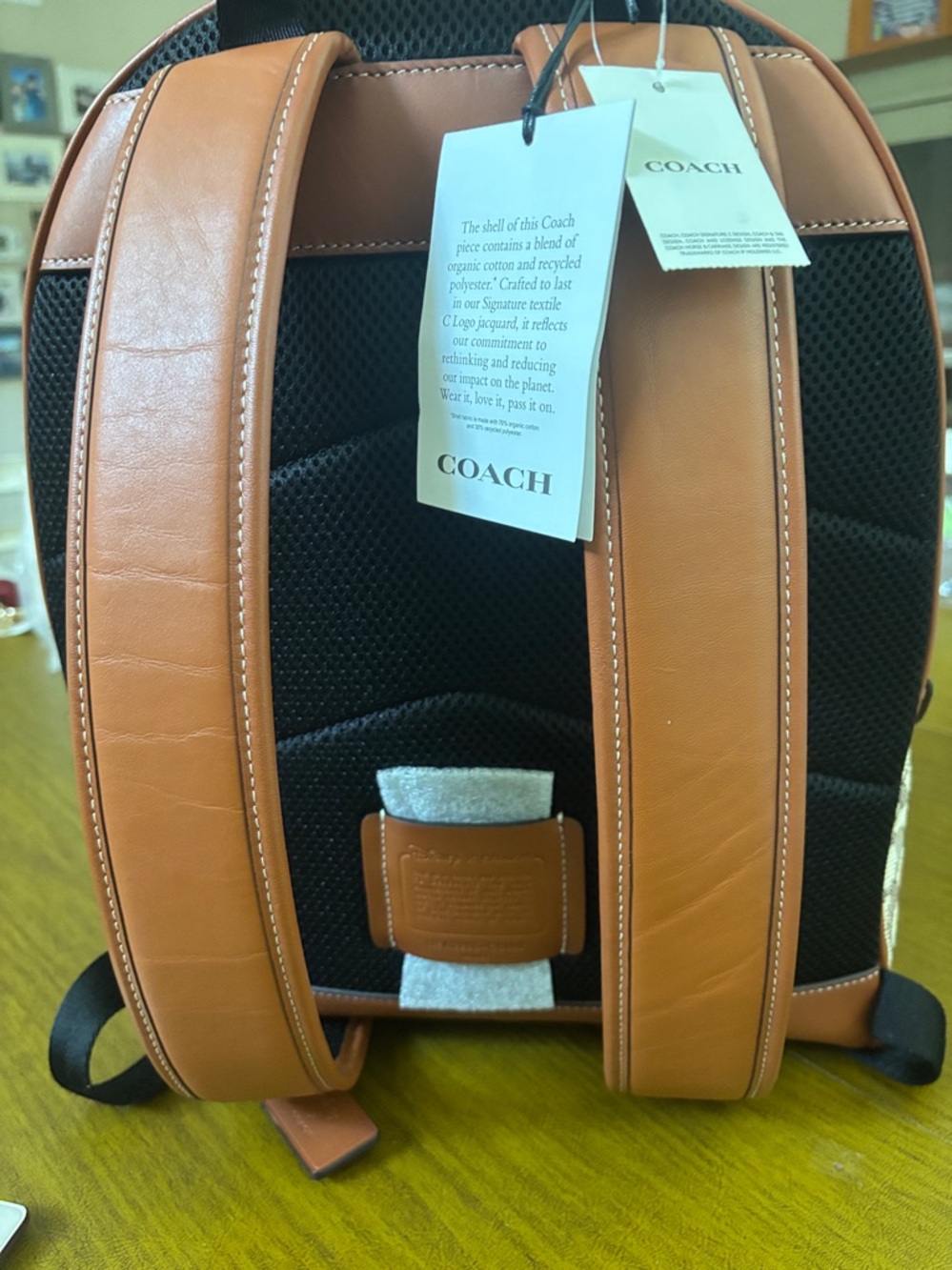 Disney X Coach Charter Backpack Signature Textile jacquard with keychain - Picture 12 of 17